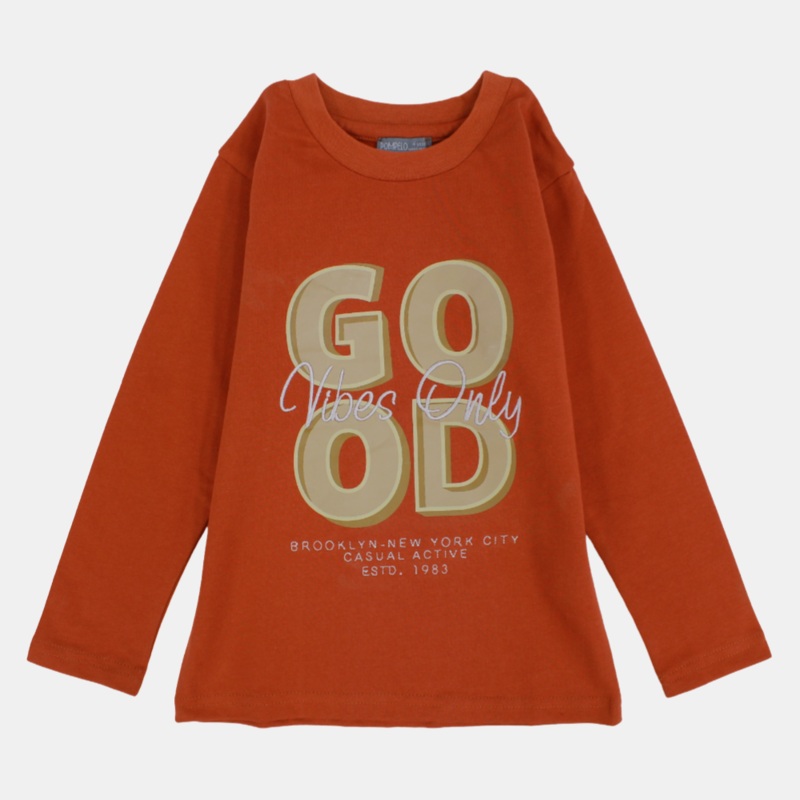Boys Cotton Long-Sleeved T-Shirt  Brick Red
