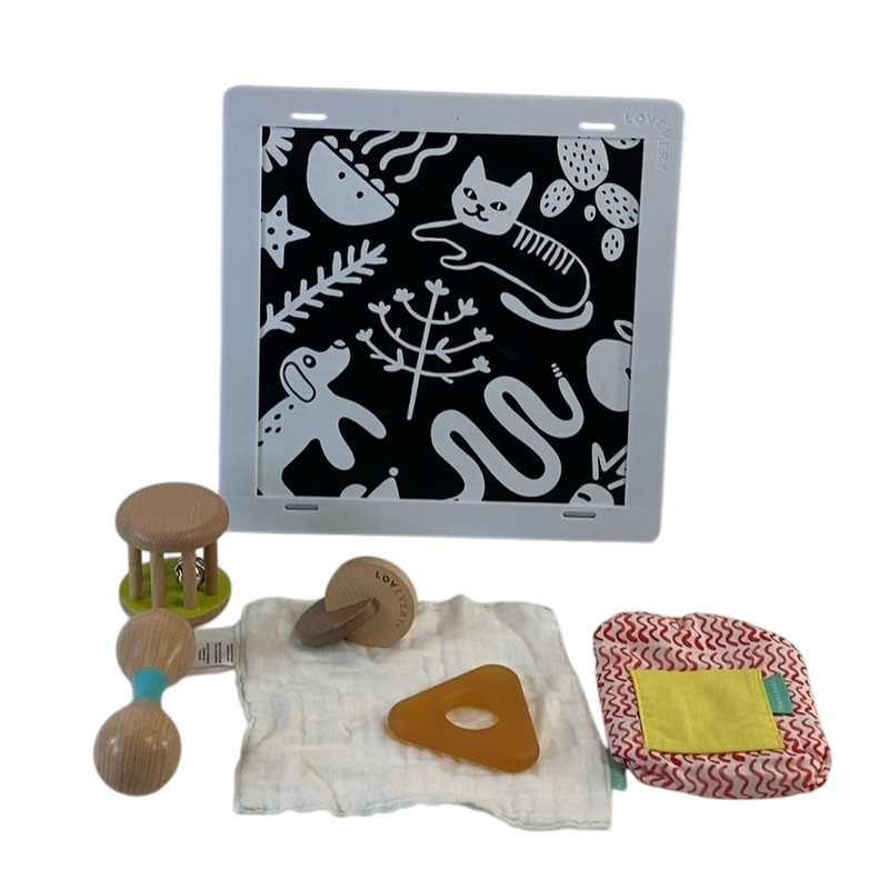 Lovevery The Charmer Play Kit